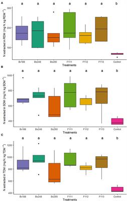 Aspergillus spp. and Bacillus spp. as Growth Promoters in Cotton Plants Under Greenhouse Conditions